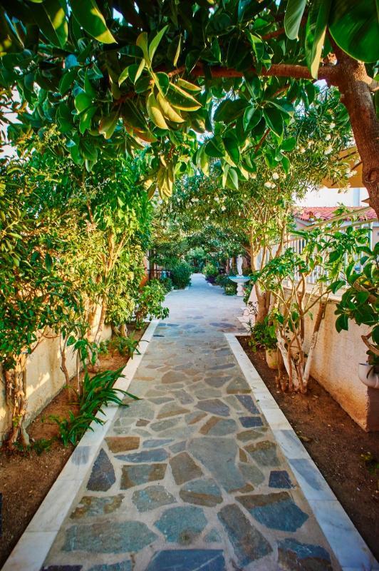 Angela Apartments Kokkari Dış mekan fotoğraf